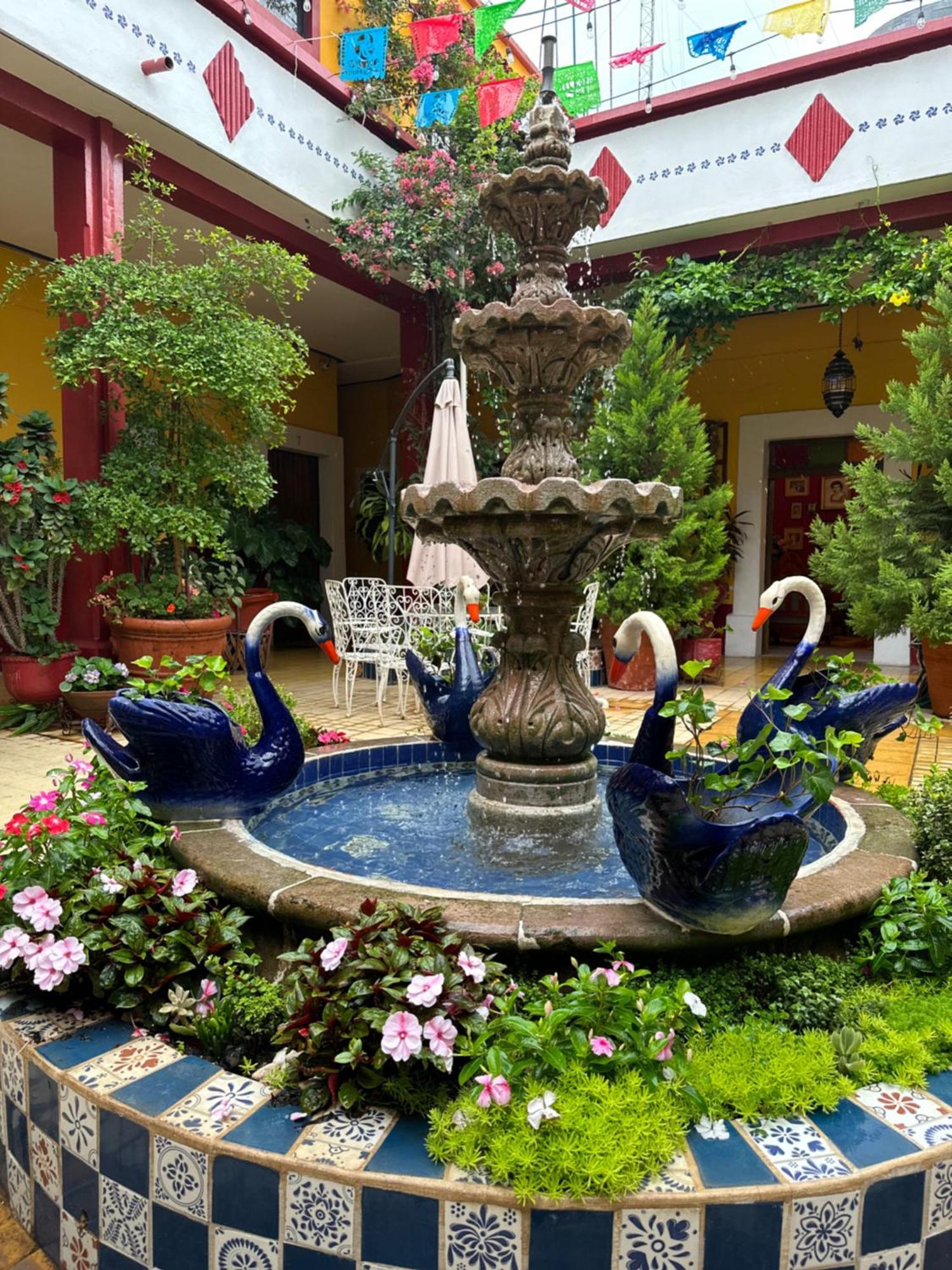 Copa De Oro Hotel Boutique Mascota Exterior foto