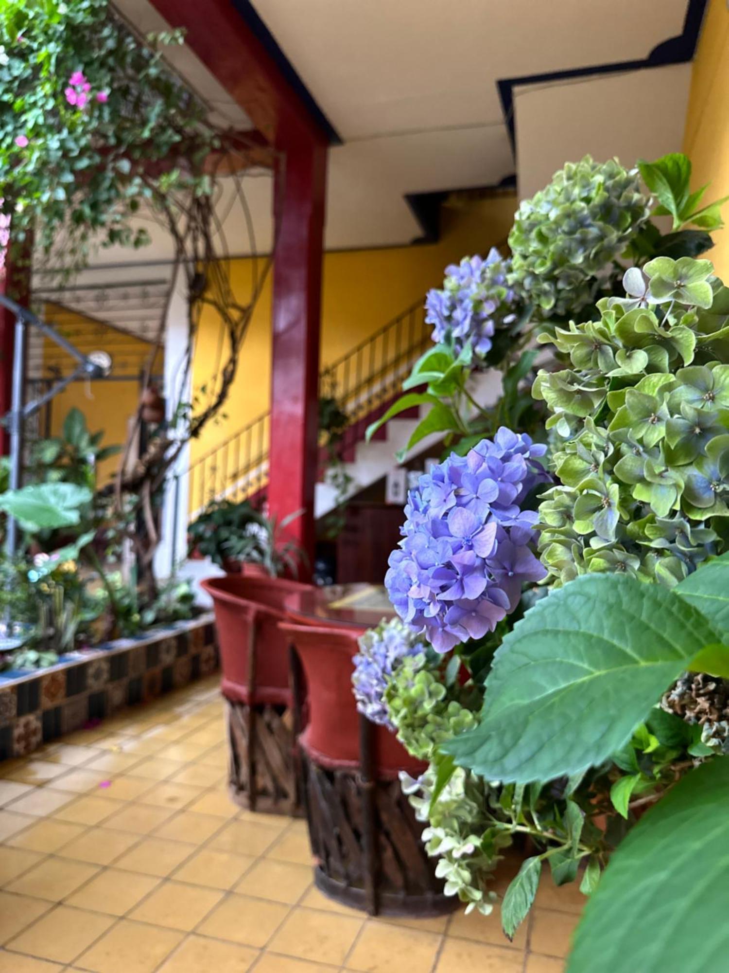 Copa De Oro Hotel Boutique Mascota Exterior foto