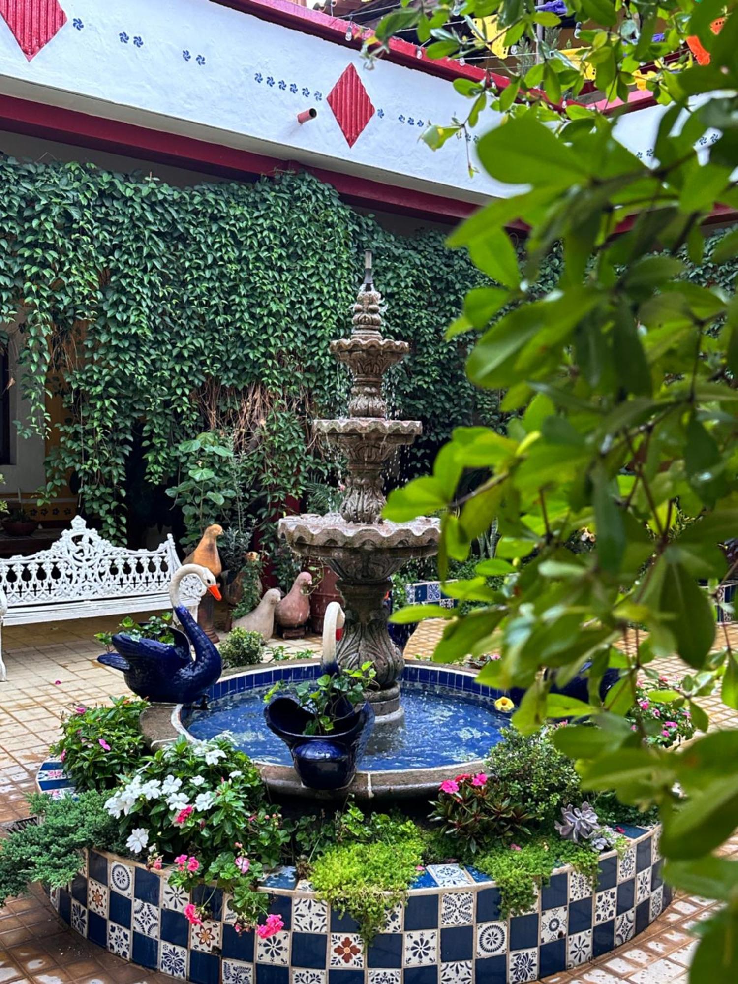 Copa De Oro Hotel Boutique Mascota Exterior foto